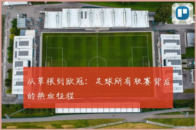 从草根到欧冠:足球所有联赛背后的热血征程