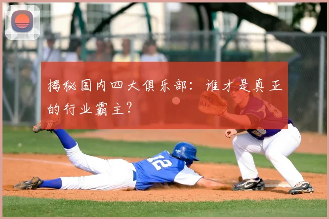 揭秘国内四大俱乐部:谁才是真正的行业霸主?